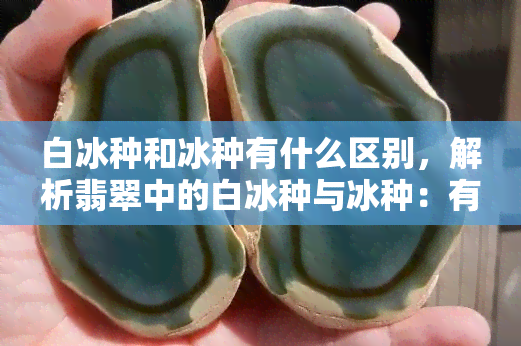 白冰种和冰种有什么区别，解析翡翠中的白冰种与冰种：有何不同之处？