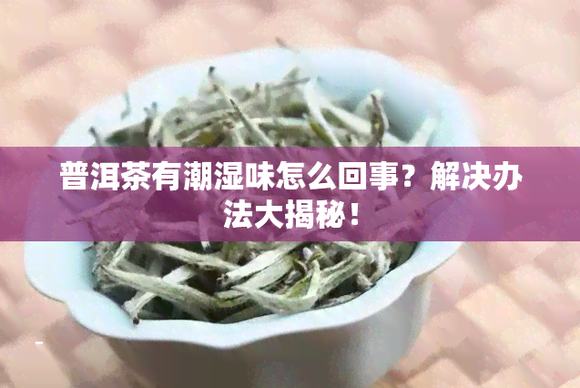 普洱茶有潮湿味怎么回事？解决办法大揭秘！