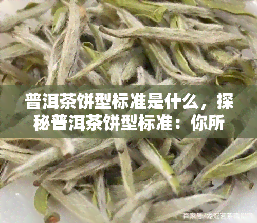 普洱茶饼型标准是什么，探秘普洱茶饼型标准：你所不知道的细节