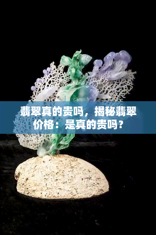 翡翠真的贵吗，揭秘翡翠价格：是真的贵吗？