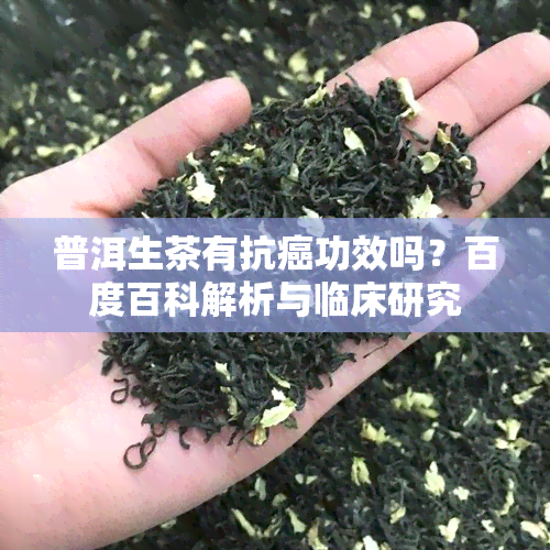 普洱生茶有抗癌功效吗？百度百科解析与临床研究