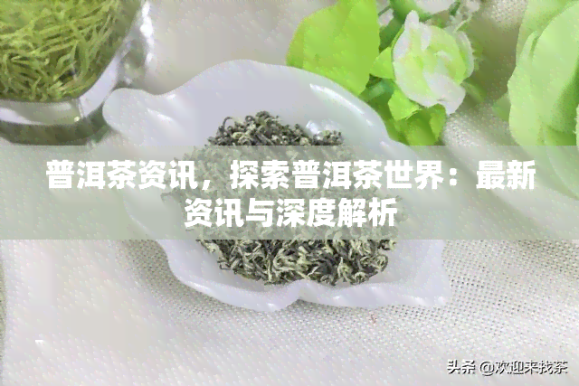 普洱茶资讯，探索普洱茶世界：最新资讯与深度解析