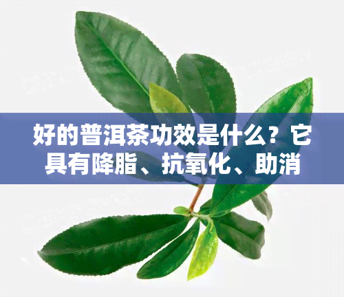 好的普洱茶功效是什么？它具有降脂、抗氧化、助消化等多种健功效。你知道吗，优质的普洱茶色泽红润、香气独特，滋味醇厚回。常见的好的普洱茶有熟茶、生茶等，其中“大益”、“下关”等备受好评。