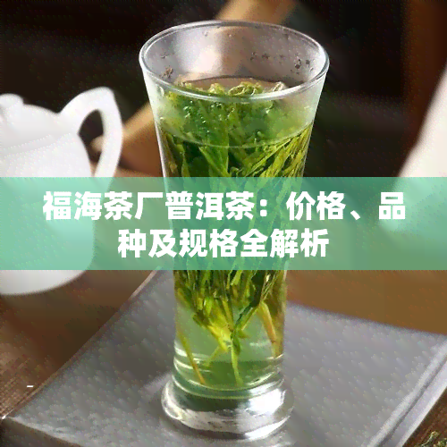 福海茶厂普洱茶：价格、品种及规格全解析