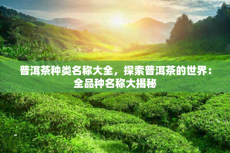 普洱茶种类名称大全，探索普洱茶的世界：全品种名称大揭秘