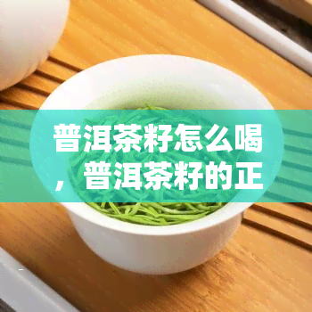 普洱茶籽怎么喝，普洱茶籽的正确饮用方法：口感的泡法介绍