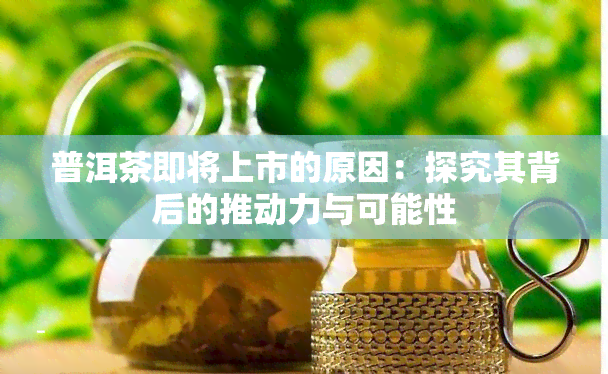 普洱茶即将上市的原因：探究其背后的推动力与可能性