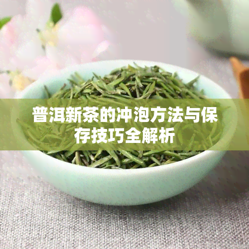 普洱新茶的冲泡方法与保存技巧全解析