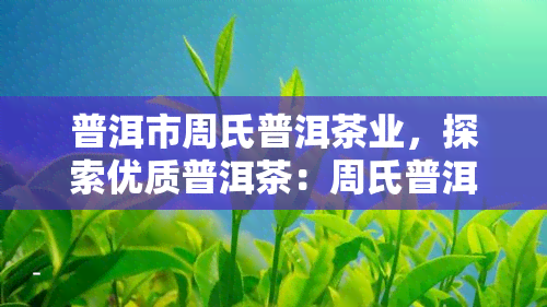 普洱市周氏普洱茶业，探索优质普洱茶：周氏普洱茶业的茶叶制作工艺与品尝体验