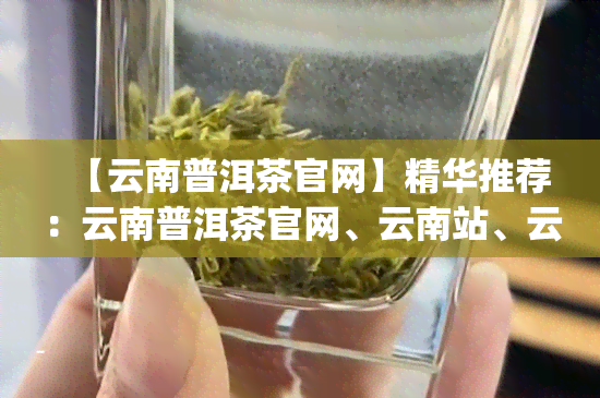 【云南普洱茶官网】精华推荐：云南普洱茶官网、云南站、云南普洱茶(集团)有限责任公司、云南普洱茶集团股份、云南普洱茶集团厂家直销、云南普洱茶官方旗舰店。