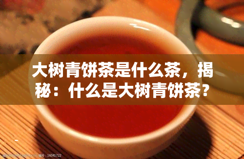 大树青饼茶是什么茶，揭秘：什么是大树青饼茶？