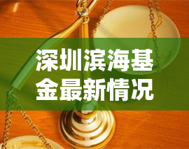 深圳滨海基金最新情况全解析：最新进展、分析与消息