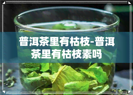 普洱茶里有枯枝-普洱茶里有枯枝素吗