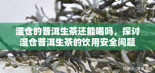 湿仓的普洱生茶还能喝吗，探讨湿仓普洱生茶的饮用安全问题