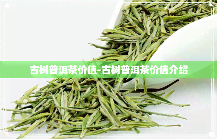 古树普洱茶价值-古树普洱茶价值介绍