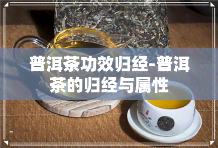 普洱茶功效归经-普洱茶的归经与属性