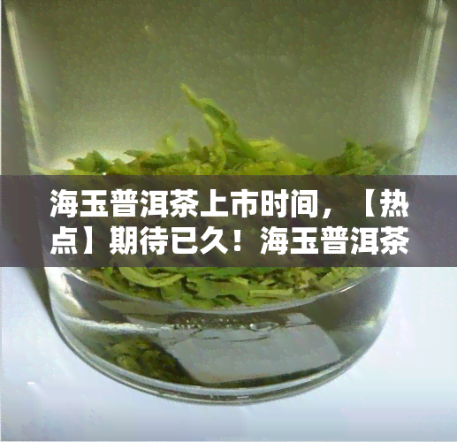 海玉普洱茶上市时间，【热点】期待已久！海玉普洱茶于要在近期上市了！