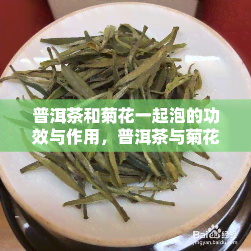 普洱茶和菊花一起泡的功效与作用，普洱茶与菊花同泡，养生效果翻倍！