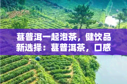 葚普洱一起泡茶，健饮品新选择：葚普洱茶，口感独特，营养丰富！