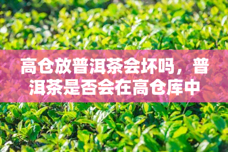 高仓放普洱茶会坏吗，普洱茶是否会在高仓库中变质？