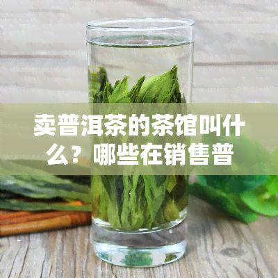 卖普洱茶的茶馆叫什么？哪些在销售普洱茶？市场前景如何？是否能赚钱？取名有什么建议？