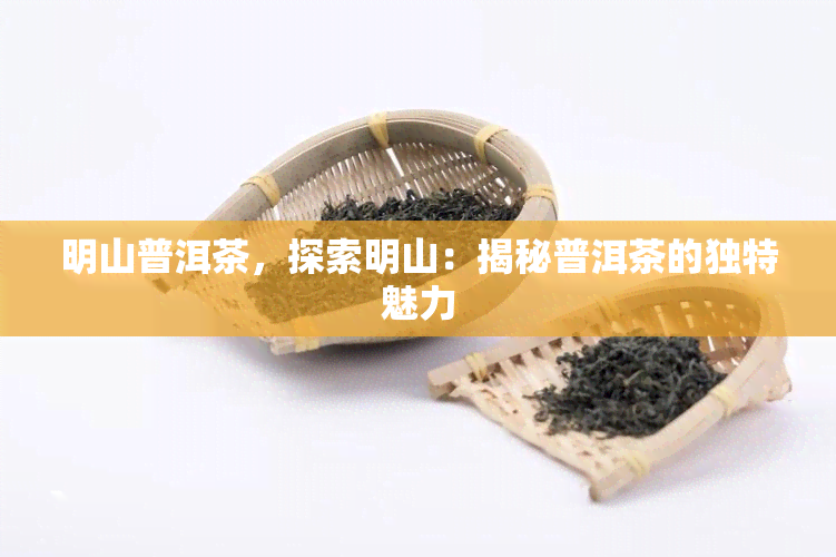 明山普洱茶，探索明山：揭秘普洱茶的独特魅力