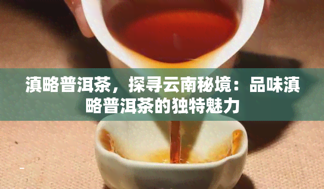 滇略普洱茶，探寻云南秘境：品味滇略普洱茶的独特魅力