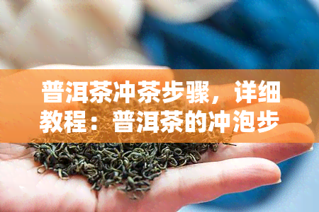 普洱茶冲茶步骤，详细教程：普洱茶的冲泡步骤