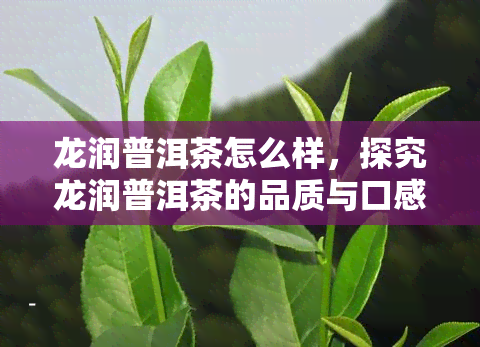 龙润普洱茶怎么样，探究龙润普洱茶的品质与口感，你值得了解！