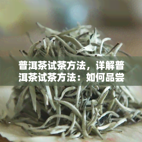 普洱茶试茶方法，详解普洱茶试茶方法：如何品尝出优质普洱茶