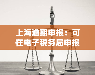 上海逾期申报：可在税务局申报，首次免罚政策出炉，增值税处罚详情