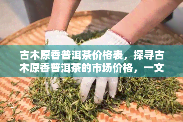 古木原香普洱茶价格表，探寻古木原香普洱茶的市场价格，一文带你了解最新价格表！