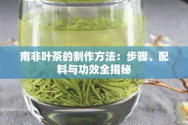 南非叶茶的制作方法：步骤、配料与功效全揭秘