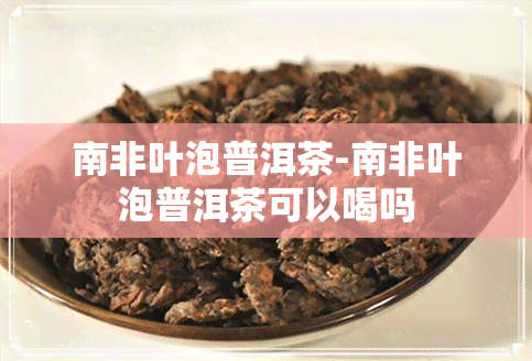 南非叶泡普洱茶-南非叶泡普洱茶可以喝吗