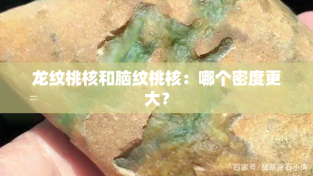 龙纹桃核和脑纹桃核：哪个密度更大？