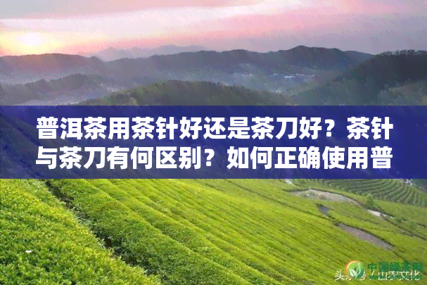 普洱茶用茶针好还是茶刀好？茶针与茶刀有何区别？如何正确使用普洱茶针？分解普洱茶饼是用茶刀好还是茶针好？普洱茶针的使用方法全解