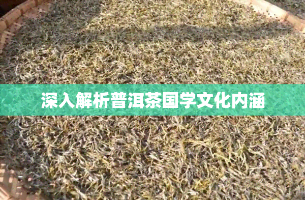 深入解析普洱茶国学文化内涵