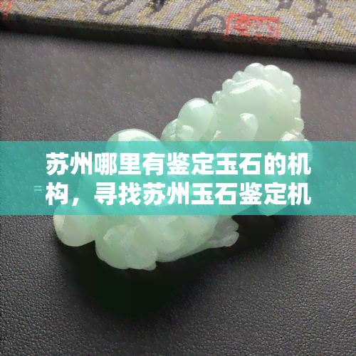 苏州哪里有鉴定玉石的机构，寻找苏州玉石鉴定机构？这里有一份全面指南！