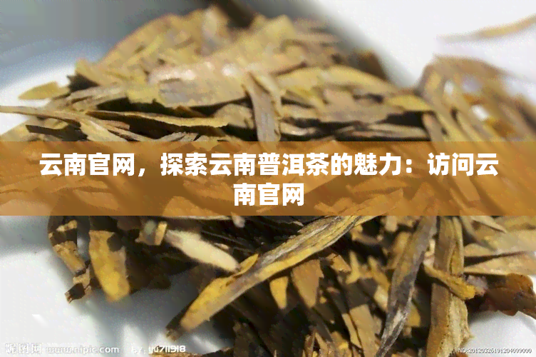 云南官网，探索云南普洱茶的魅力：访问云南官网