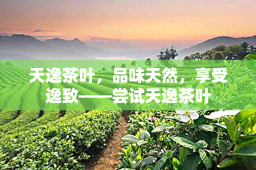 天逸茶叶，品味天然，享受逸致——尝试天逸茶叶