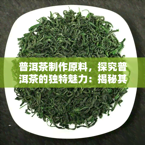 普洱茶制作原料，探究普洱茶的独特魅力：揭秘其精致的制作原料