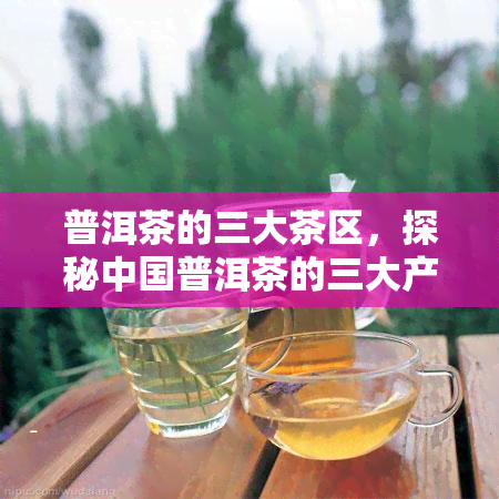 普洱茶的三大茶区，探秘中国普洱茶的三大产区：地理环境与品质特点