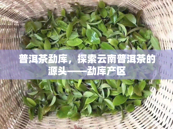 普洱茶勐库，探索云南普洱茶的源头——勐库产区