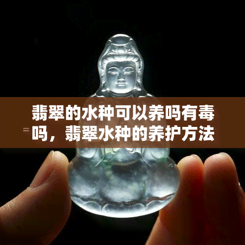 翡翠的水种可以养吗有吗，翡翠水种的养护方法及安全性探讨