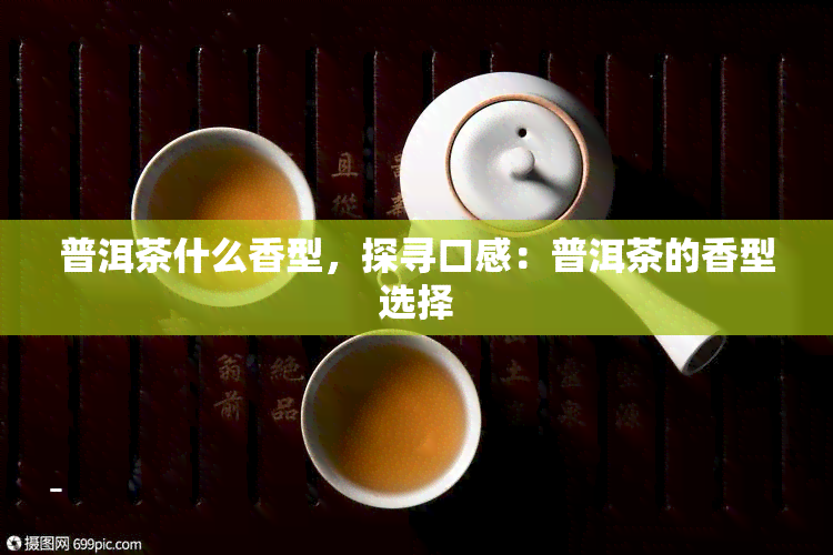 普洱茶什么香型，探寻口感：普洱茶的香型选择