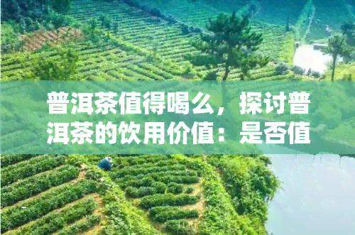 普洱茶值得喝么，探讨普洱茶的饮用价值：是否值得品尝？