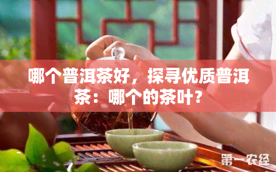 哪个普洱茶好，探寻优质普洱茶：哪个的茶叶？