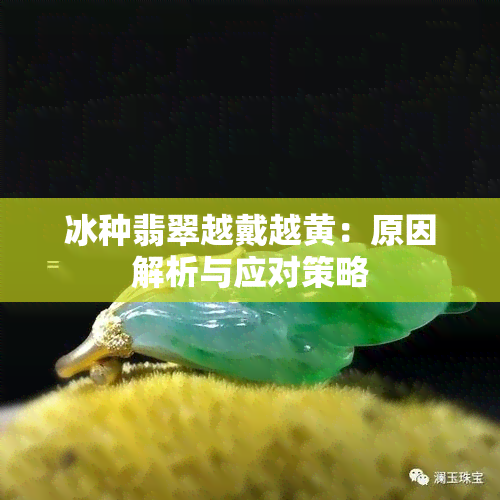 冰种翡翠越戴越黄：原因解析与应对策略