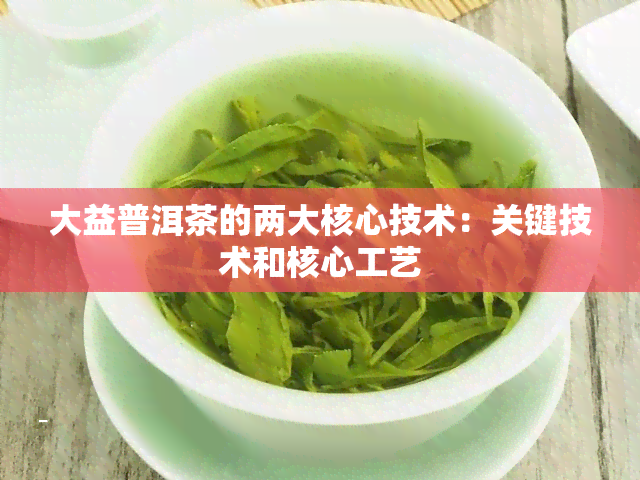 大益普洱茶的两大核心技术：关键技术和核心工艺