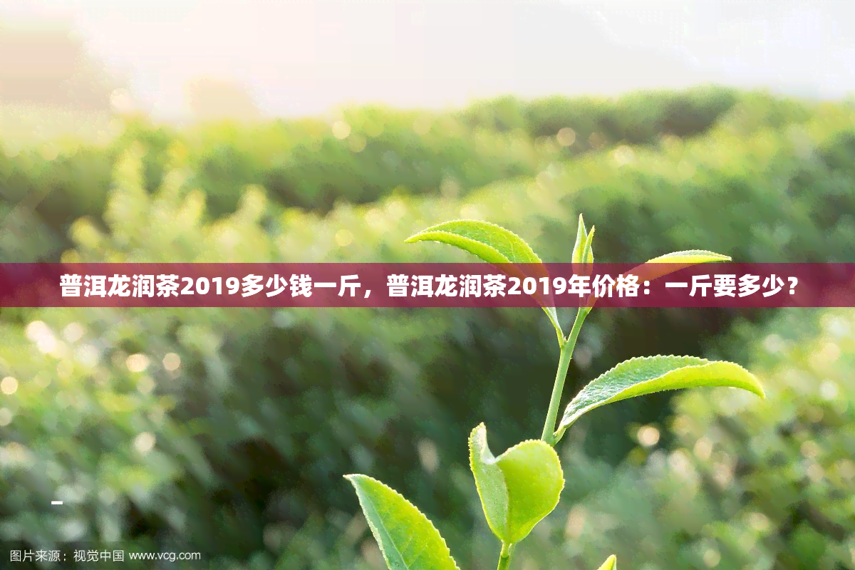 普洱龙润茶2019多少钱一斤，普洱龙润茶2019年价格：一斤要多少？